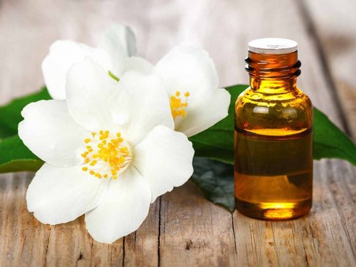 Jasmine Grandiflorum Essential Oil: Know Its Incredible Uses & Benefits