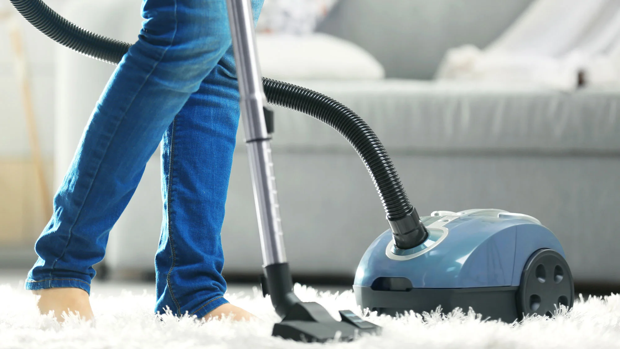 Best Carpet Cleaning Companies In Your Area