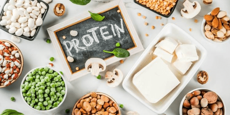 Protein-rich weight loss diet