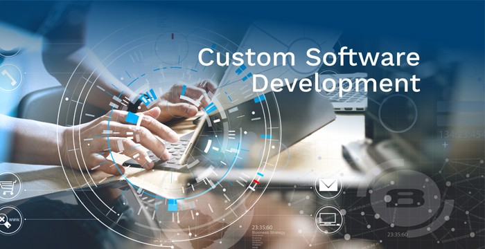 Business Software, Custom Or Generic?