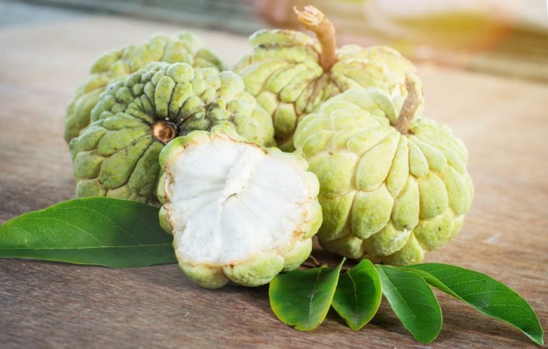 Here Are 5 Surprising Health Benefits Of Custard Apples
