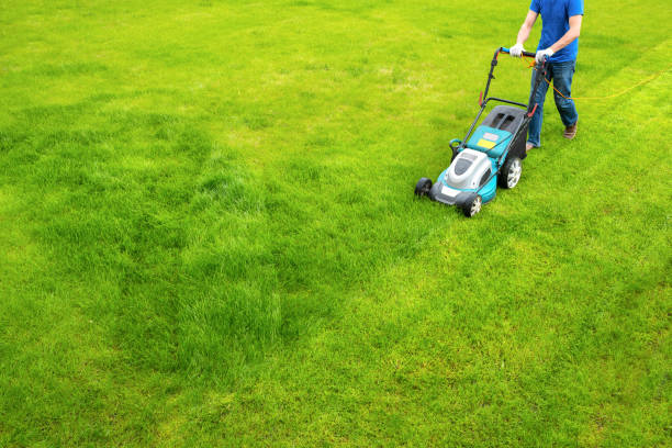 Lawn Mower and Mover Tips for Beginners