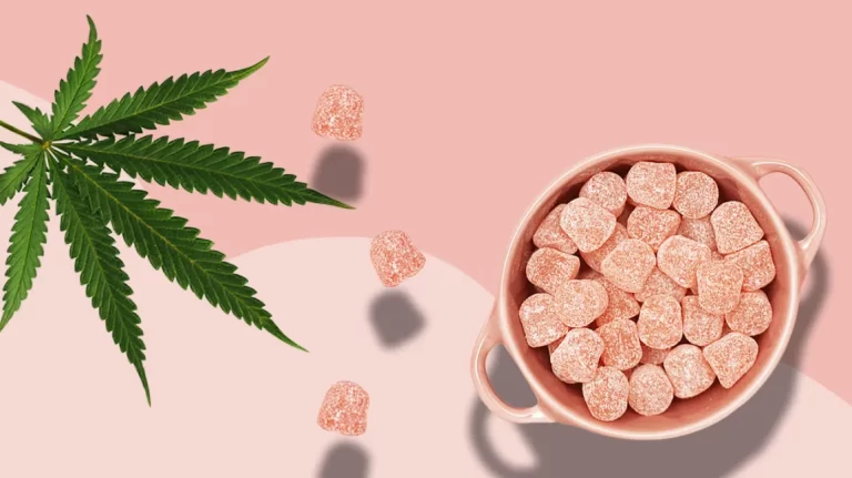 6 Reasons Checking The Ingredients List Of CBD Gummies Is Important