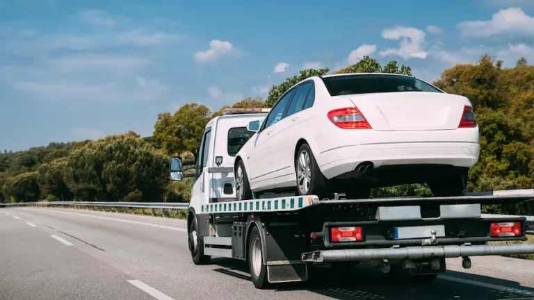 Finding the Best Options for Moving Your Car