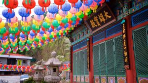 Discovering the Thrilling World of Suwon Entertainment 1 248607 Suwon And Vicinity 1