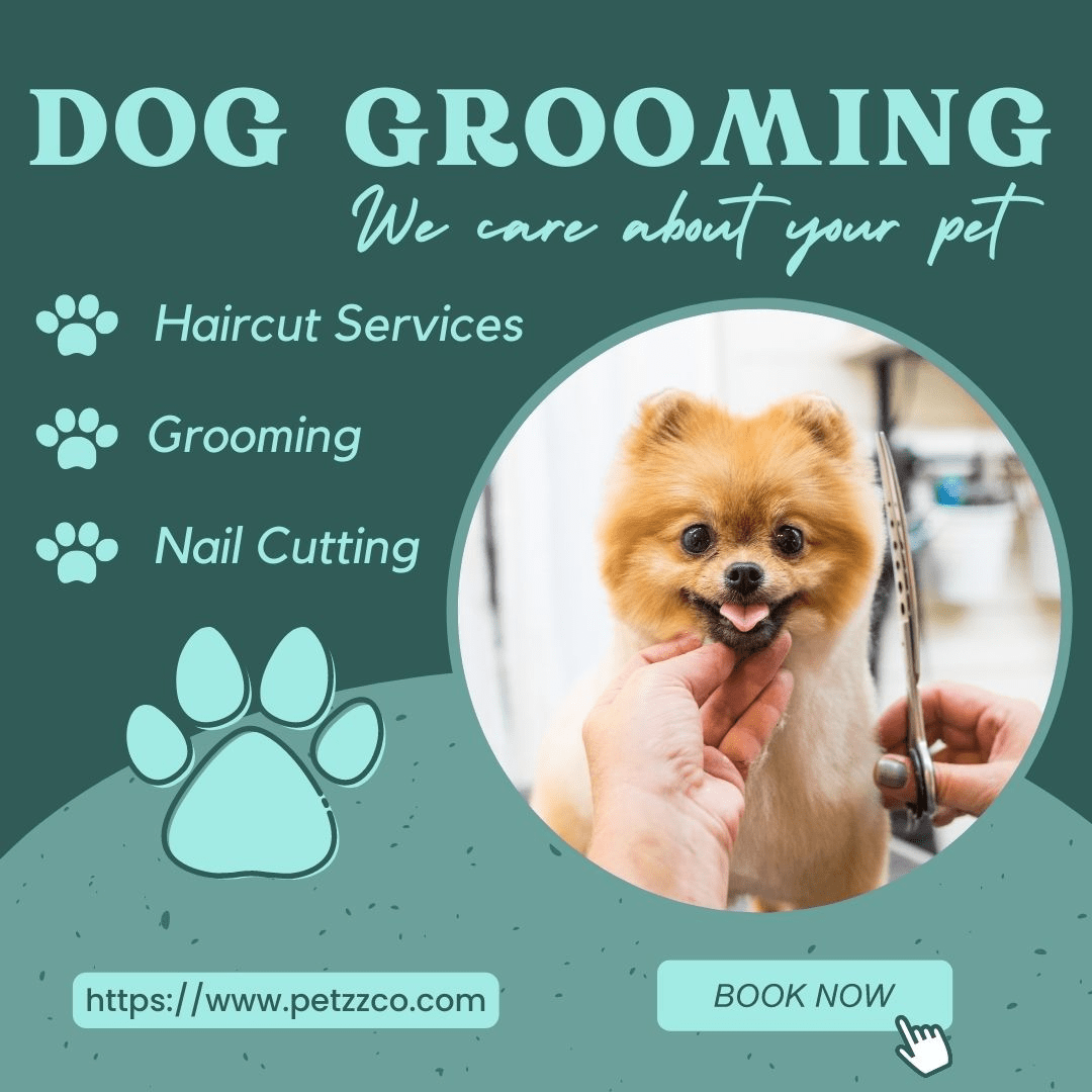 Dog Grooming