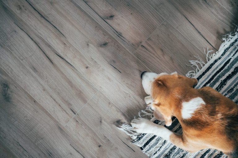Unleashing the Best: Is Engineered Hardwood Good for Dogs?