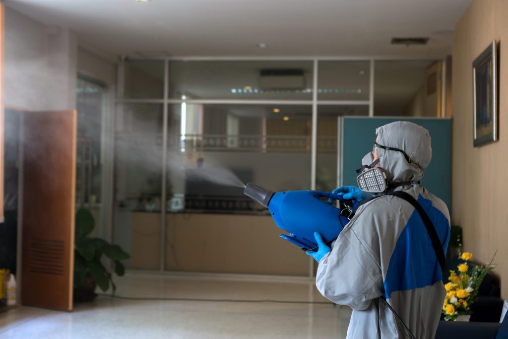 Pest Control Services in Phuket