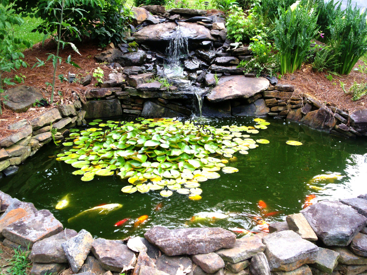 how to make a gold fish pond