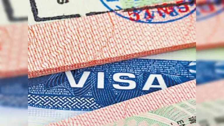 Navigating the Indian Visa Process for Portuguese and Austrian Citizens