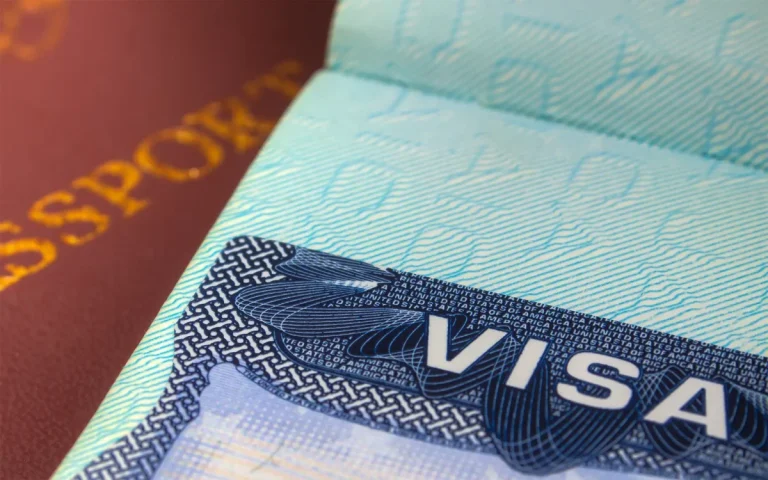 Indian Visa for Kenya and Namibia Citizens: Application Process, Requirements, and Tips