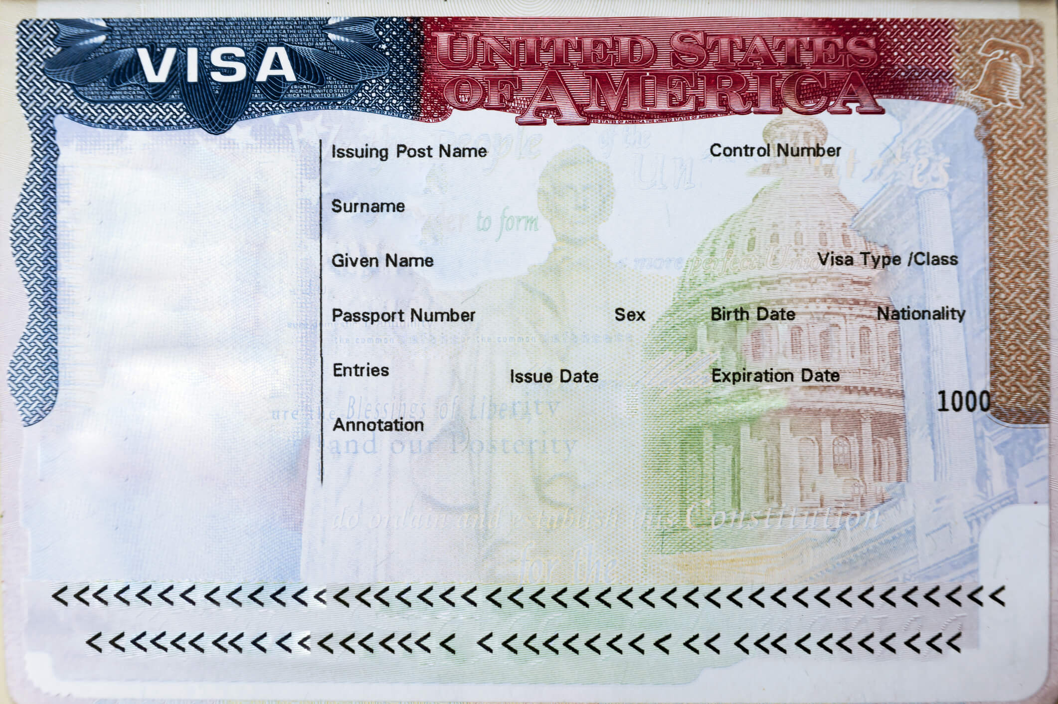 what does a visa look like 1 3