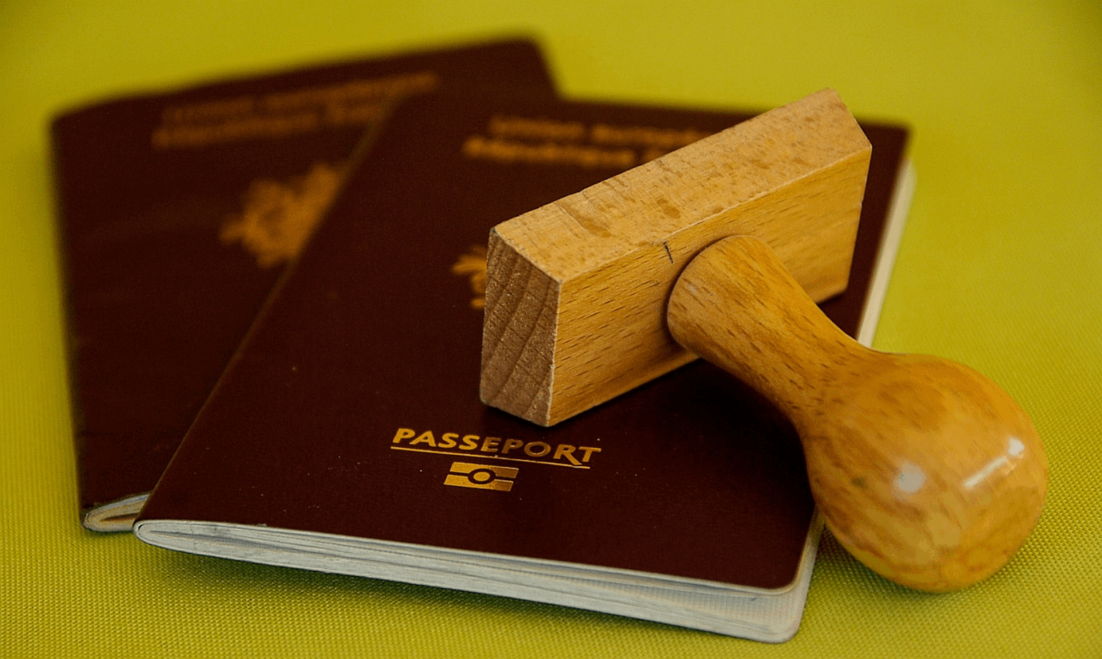 Egypt Visa Requirements for Polish and Portuguese Citizens: A Step-by-Step Guide 1 Egypt e Visa